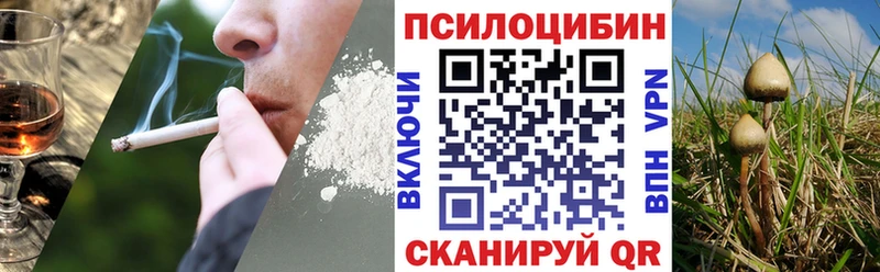 Купить закладки  Сретенск  Псилоцибиновые грибы GOLDEN TEACHER 